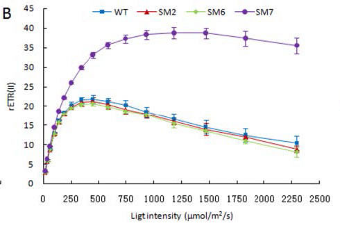 light intensity b.jpg