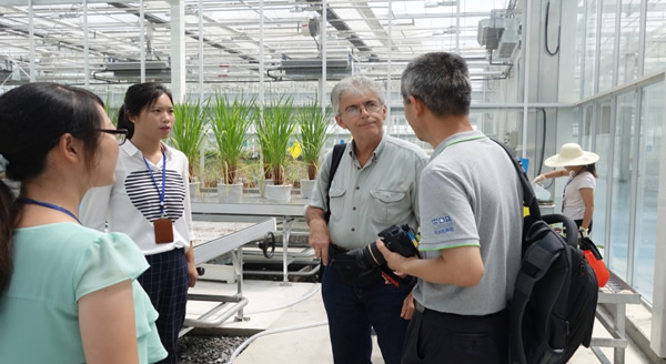 意大利博洛尼亚大学教授Roberto Tuberosa参观考察AgriPheno平台