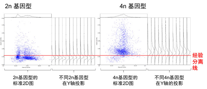 茄子花粉DH诱导后的发育.jpg